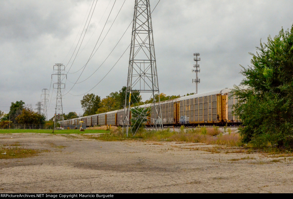 Autoracks train in the yard